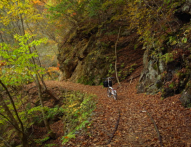 �����̑�͐�E�r��̌�����H�� �H�̉����� ����k�J