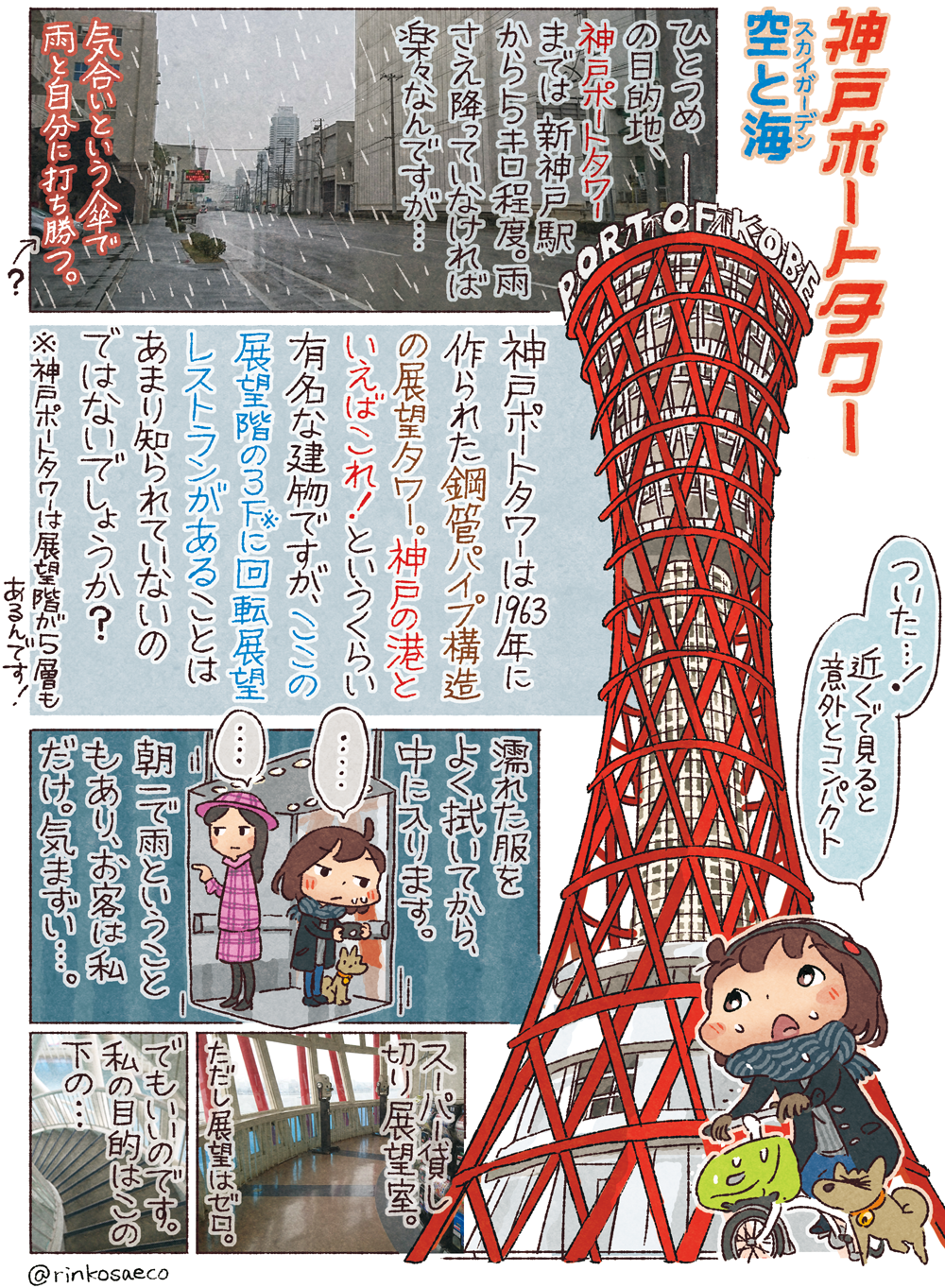 �_�˃|�[�g�^���[ �X�J�C�K�[�f����ƊC