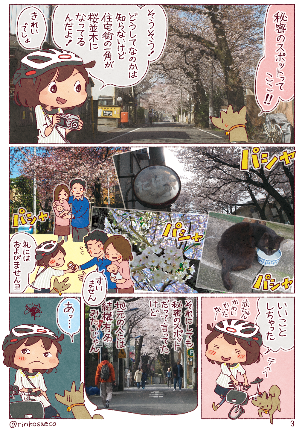 �������̍�